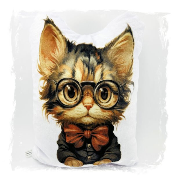 Zane the Afita Plush Toy Cat